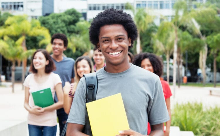 Vendas de diploma