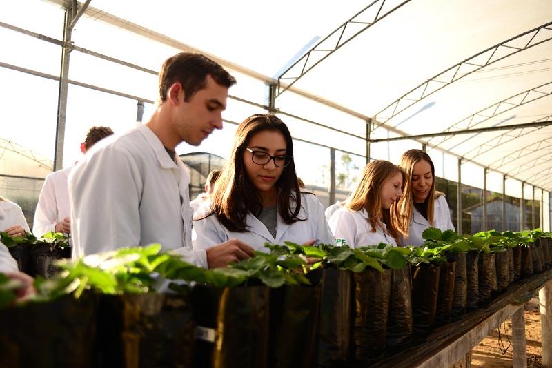 Comprar Diploma Agronomia